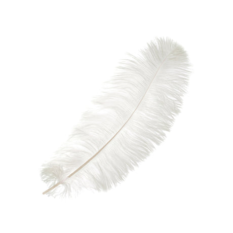 Premium Ostrich Feathers – 3-6” Drabs & Large Plumes for Weddings, Centerpieces, Costumes, & More!