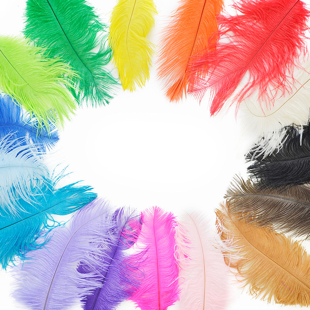 Premium Ostrich Feathers – 3-6” Drabs & Large Plumes for Weddings, Centerpieces, Costumes, & More!